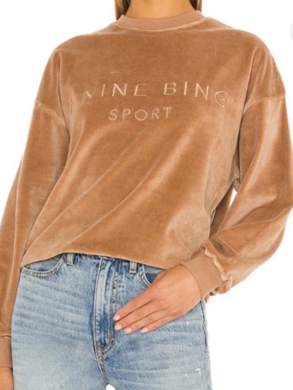 Anine Bing Sport Evan Taupe velour embroidered pullover sweatshirt ladies L NWT‎